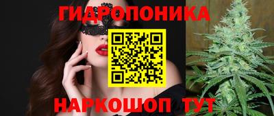 СК Краснодар