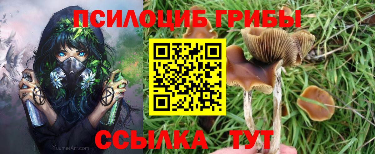 Коряжма  Галлюциногенные грибы Magic Shrooms  Вход с VPN 
